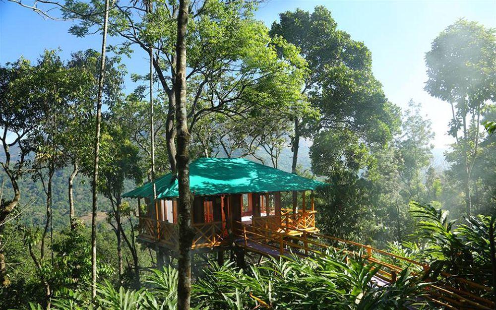 Dream Catcher Resort Munnar Exterior foto