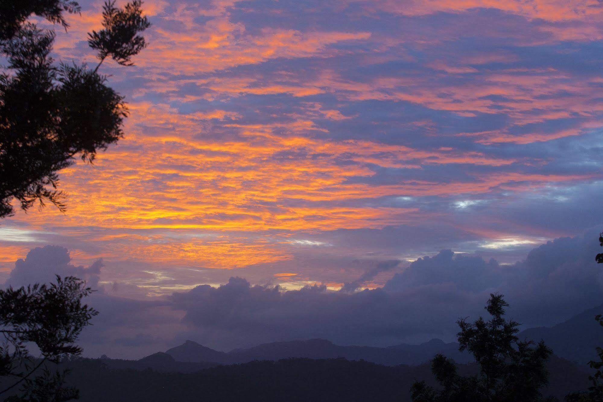 Dream Catcher Resort Munnar Exterior foto