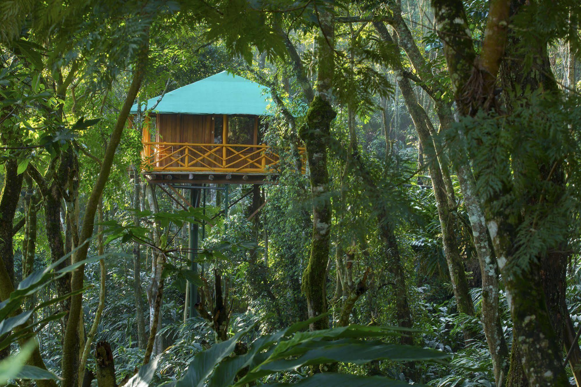 Dream Catcher Resort Munnar Exterior foto